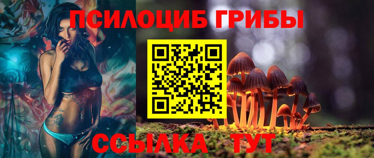 Псилоцибиновые грибы Psilocybe Чехов